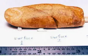 The 100-million-year-old fossilized human finger