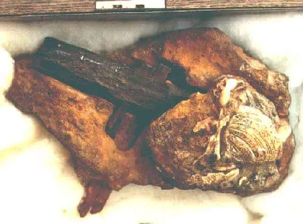 Here Are 5 Mysterious Artifacts Which Date Back Millions Of Years