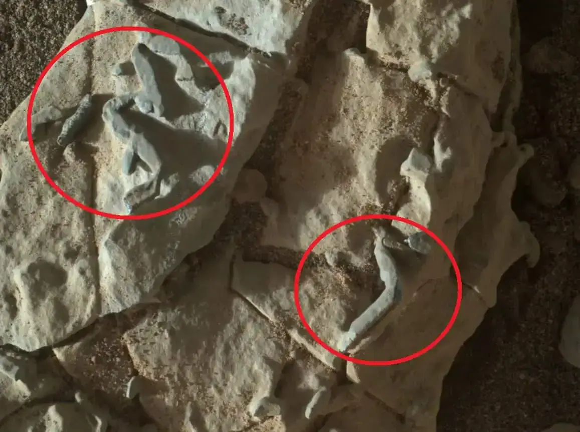 NASA Is Hiding Evidence Of Life On Mars Claims Scientists Who Says Has Evidence