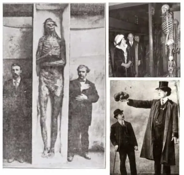 6 Amazing 'Pieces Of Evidence' That Hint Giants Existed On Earth