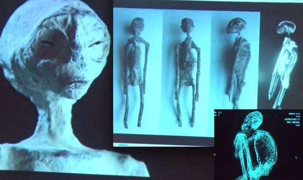 Nazca Alien mummy DNA results reveal 'mummified remains are not human'