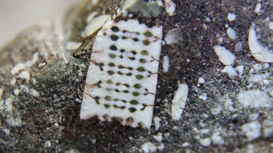 No, this is not an actual 250-million-year-old microchip