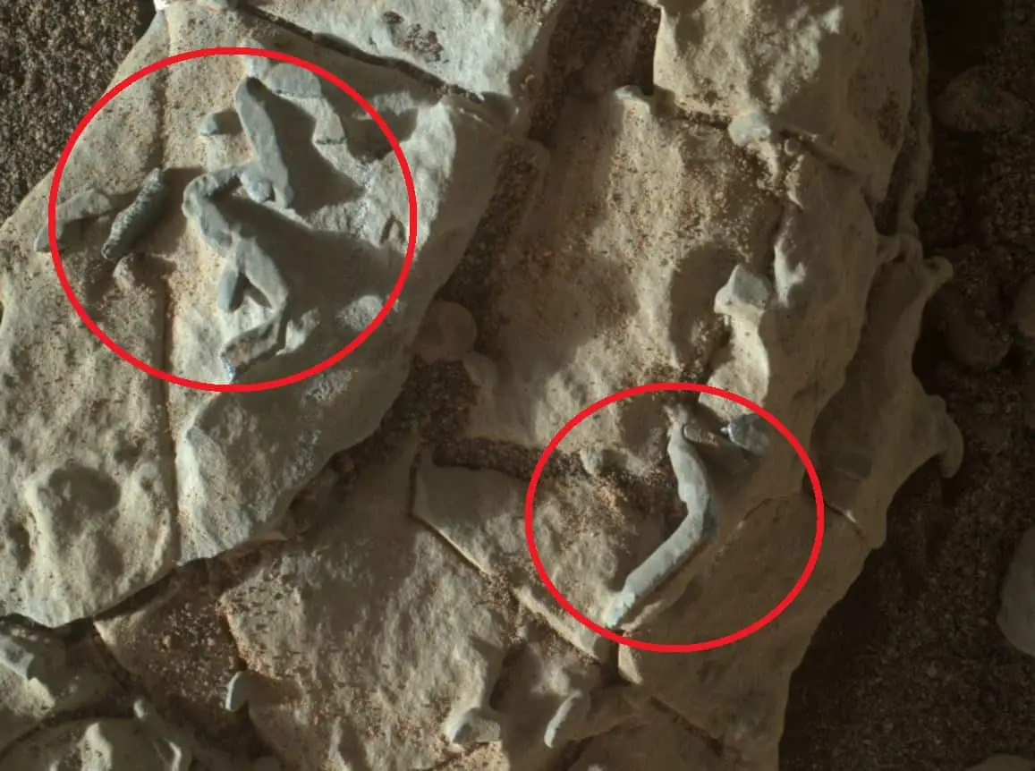NASA Is Hiding Evidence Of Life On Mars Claims Scientists Who Says Has Evidence