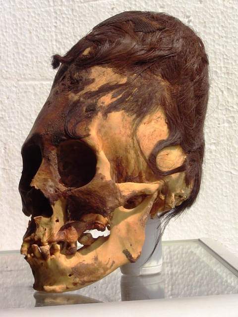 DNA Results Show The Elongated Paracas Skulls Are Not Native American