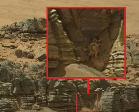 You Won’t Believe Everything UFOHunters Found On Mars FB_IMG_1438518354106