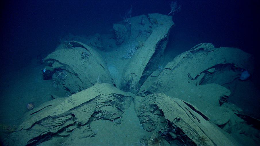 Underwater Drones Are Exploring Shipwrecks Below The Gulf Of Mexico—And What They’ve Found Is Incredible Mystery-underwater-world-Gulf-of-Mexico